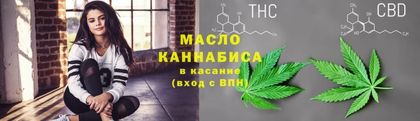 гашик Михайловск