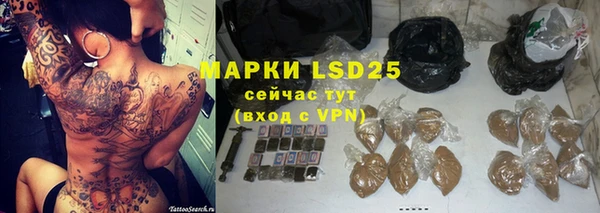 гашик Михайловск