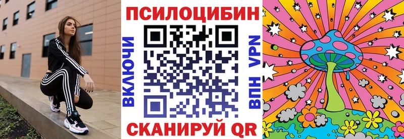 Псилоцибиновые грибы GOLDEN TEACHER Игарка
