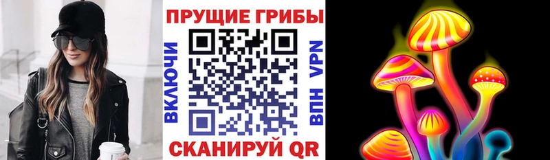 Галлюциногенные грибы Cubensis  Игарка 